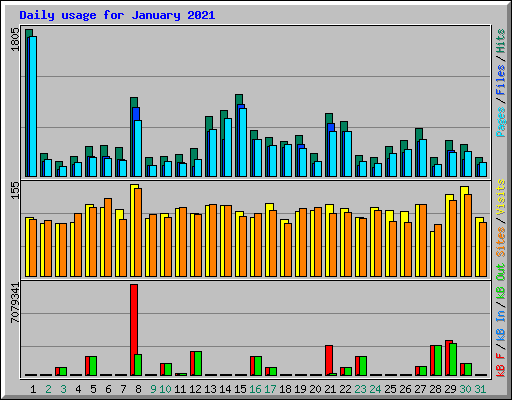Daily usage for January 2021