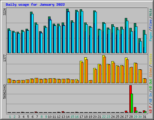Daily usage for January 2022