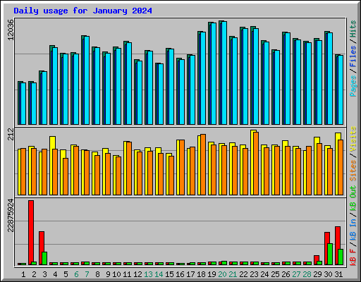 Daily usage for January 2024