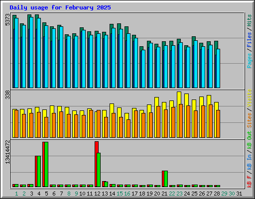 Daily usage for February 2025