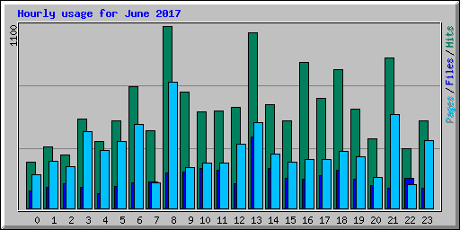 Hourly usage for June 2017