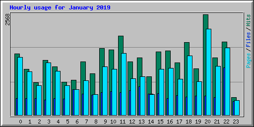 Hourly usage for January 2019