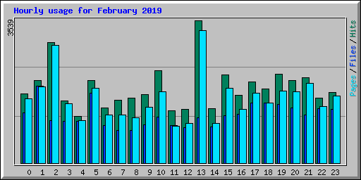 Hourly usage for February 2019