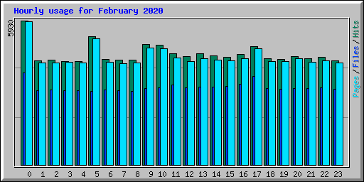 Hourly usage for February 2020