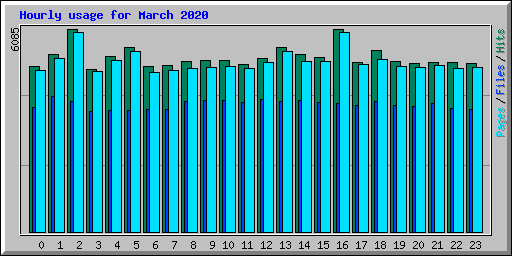 Hourly usage for March 2020