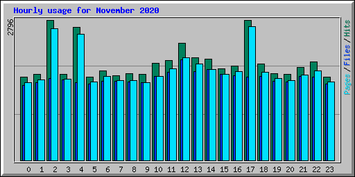 Hourly usage for November 2020