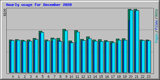 Hourly usage for December 2020