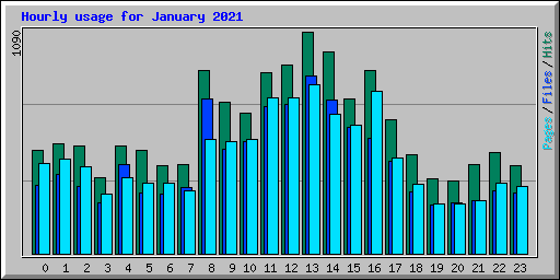 Hourly usage for January 2021