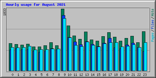 Hourly usage for August 2021