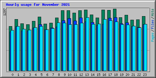 Hourly usage for November 2021