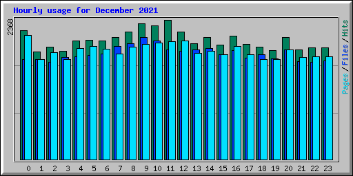 Hourly usage for December 2021