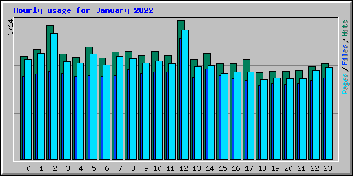Hourly usage for January 2022