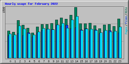 Hourly usage for February 2022