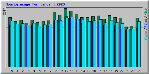 Hourly usage for January 2023