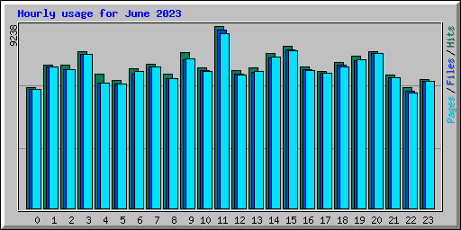 Hourly usage for June 2023