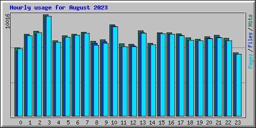 Hourly usage for August 2023