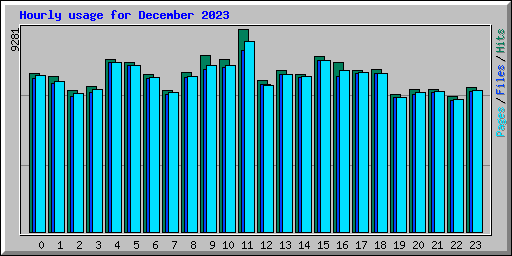 Hourly usage for December 2023