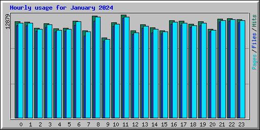 Hourly usage for January 2024