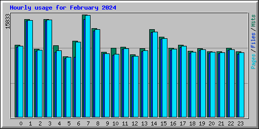 Hourly usage for February 2024