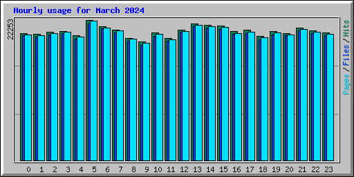 Hourly usage for March 2024