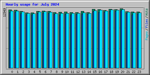 Hourly usage for July 2024