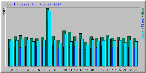 Hourly usage for August 2024