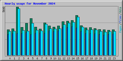 Hourly usage for November 2024