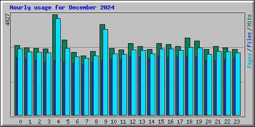 Hourly usage for December 2024