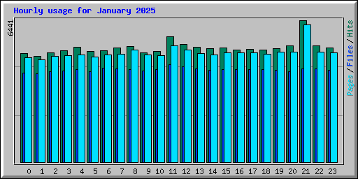 Hourly usage for January 2025