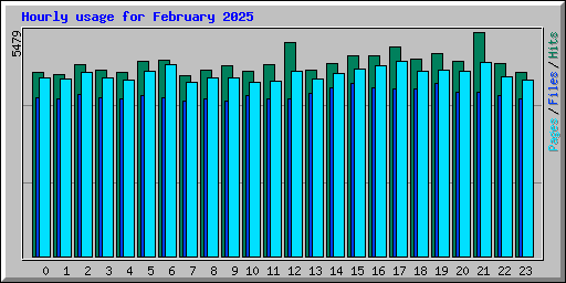 Hourly usage for February 2025