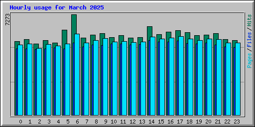 Hourly usage for March 2025