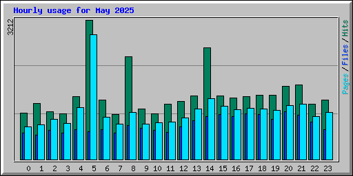 Hourly usage for May 2025