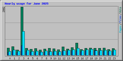 Hourly usage for June 2025