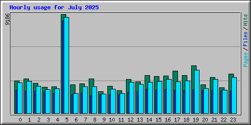 Hourly usage for July 2025