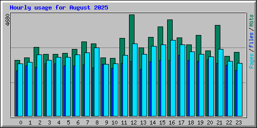 Hourly usage for August 2025