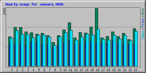 Hourly usage for January 2026